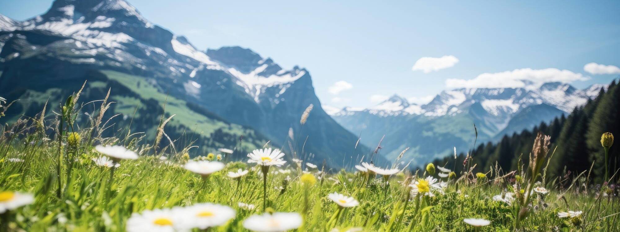 FeWo Sommerurlaub - Kaunertal